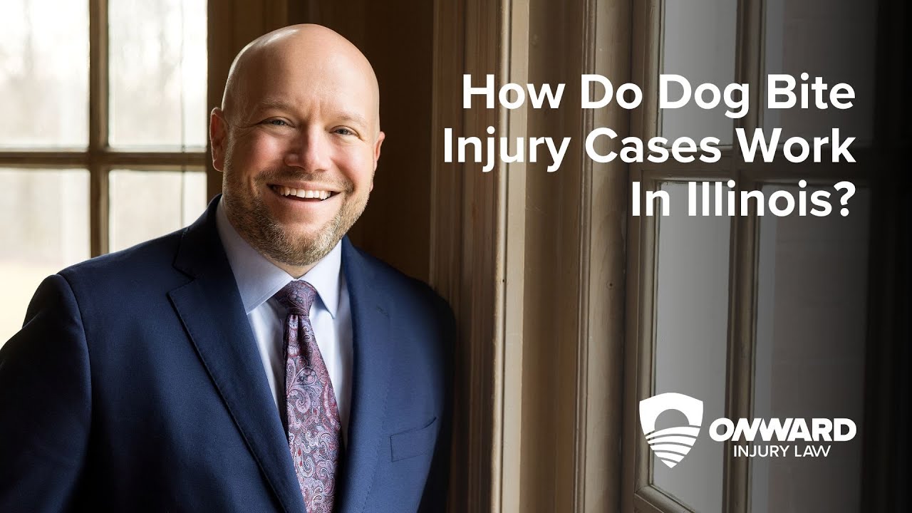 How Do Dog Bite Injury Cases Work in Illinois?