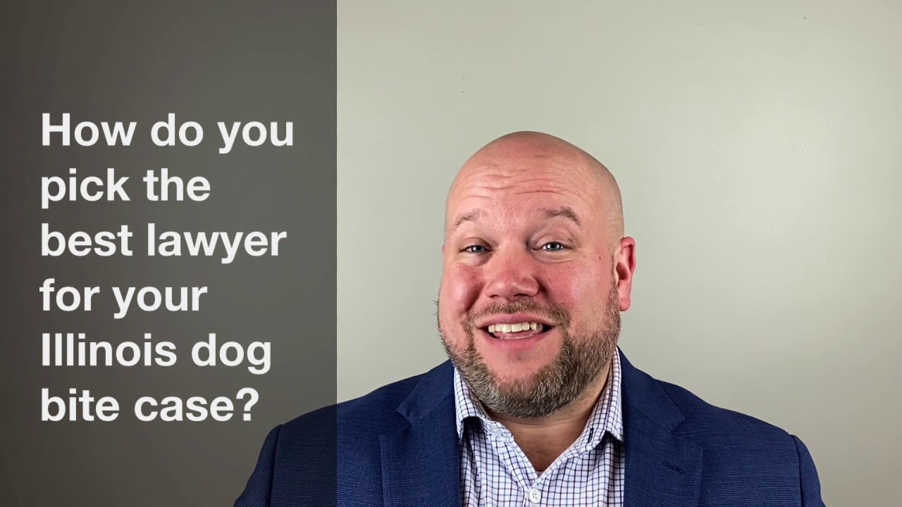 choosing a dog bite lawyer in illinois