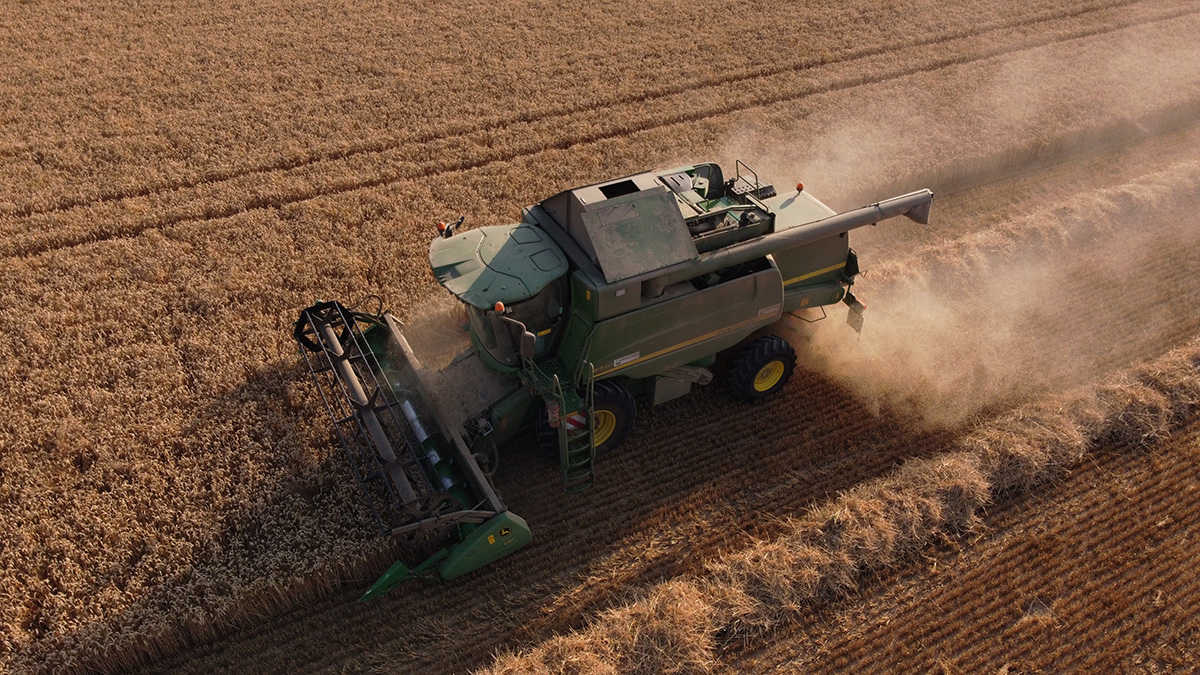 combine harvester cutting crops in a field at harvest during sunset