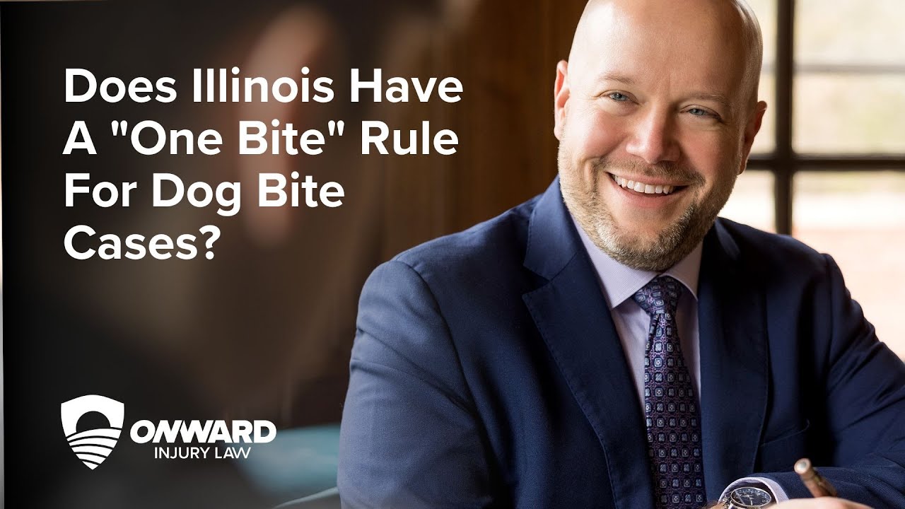 Illinois one bite rule dog bite cases