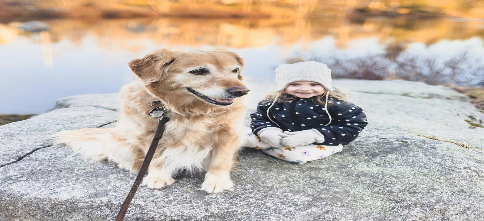 What Should I Do if a Dog Bites My Child?