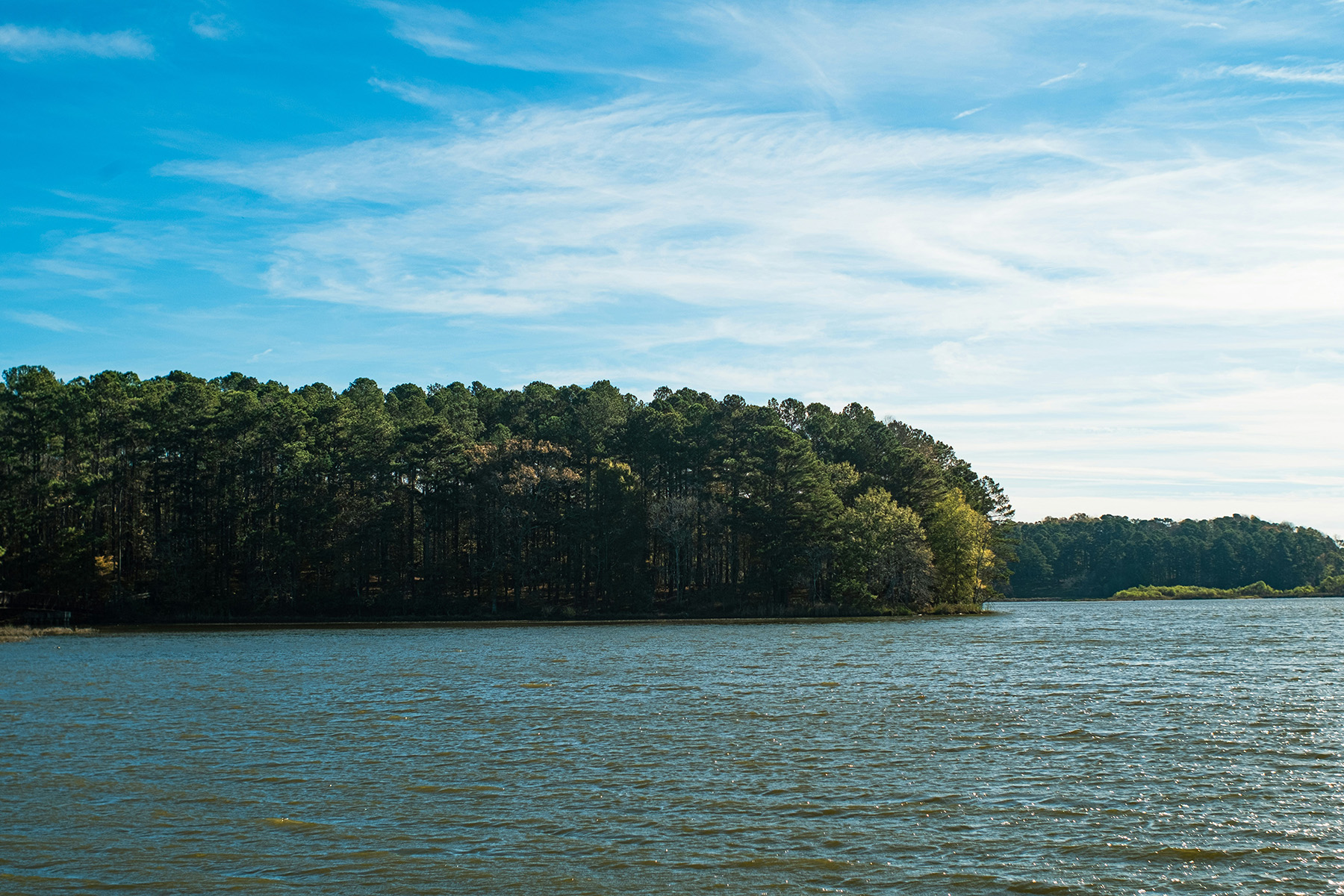 view of lake and treeline on a sunny day