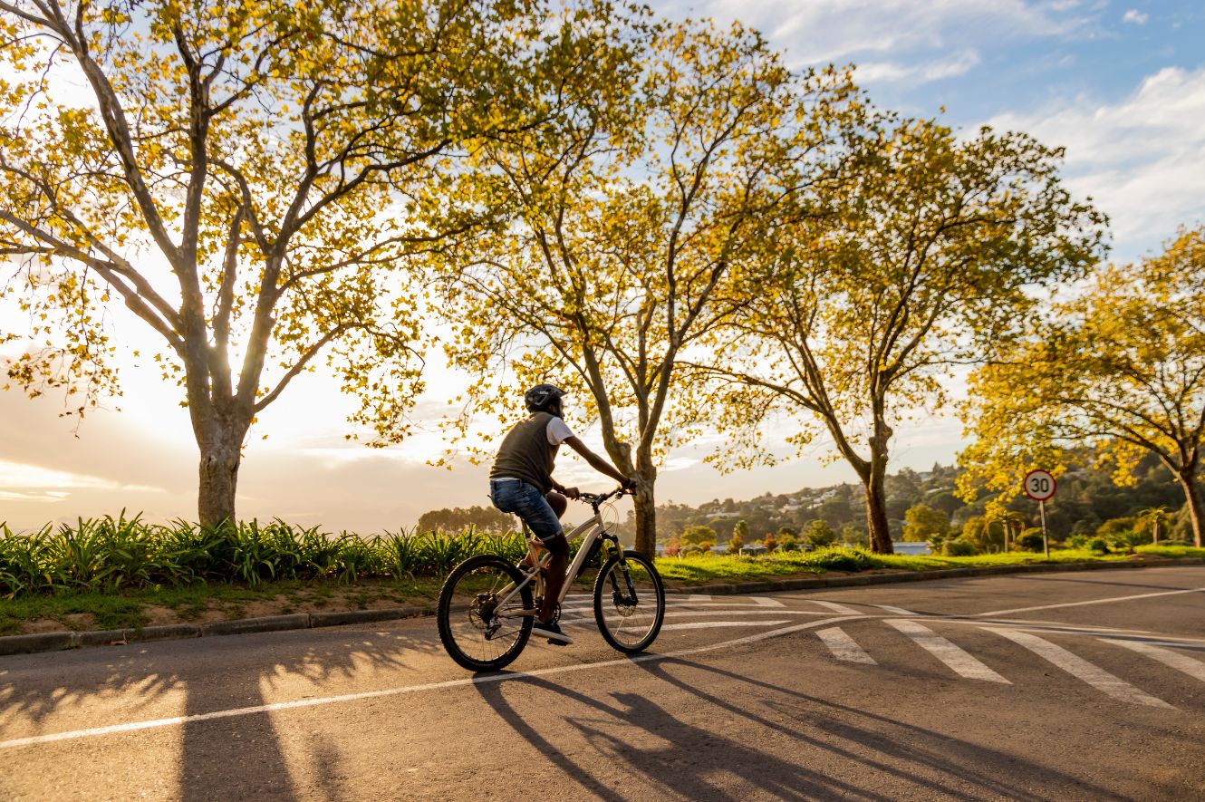 person riding bike along a tree lined road.